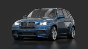 BMW X5M 2010