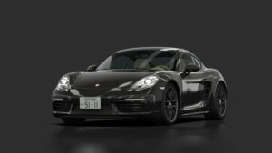 Porsche 718 Cayman [982] REIN