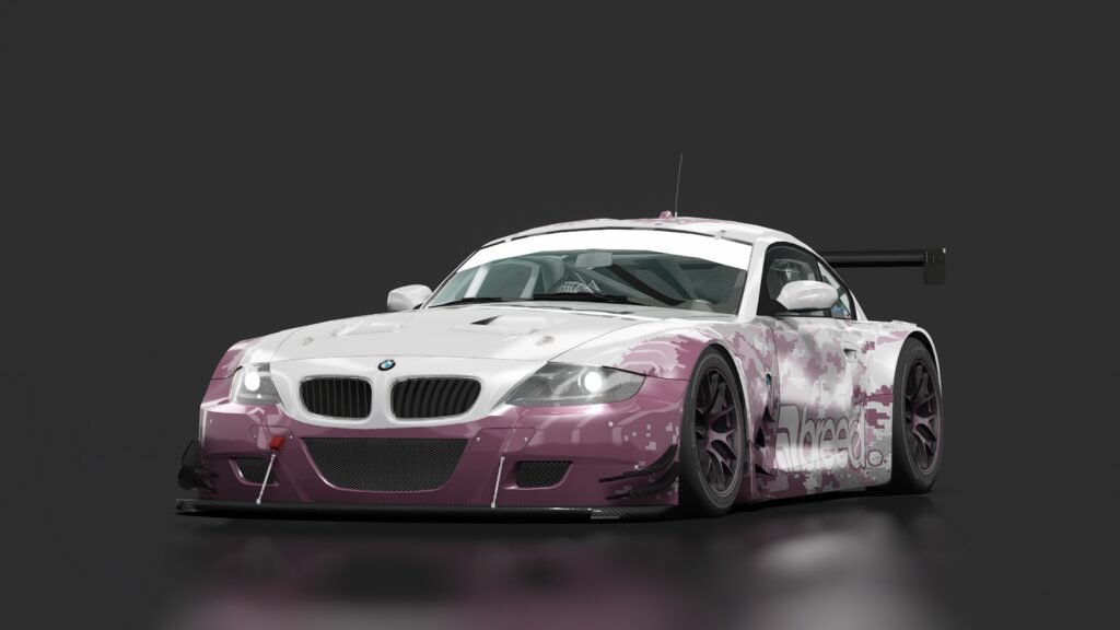 Bmw z4 m coupe gt3 dw 10