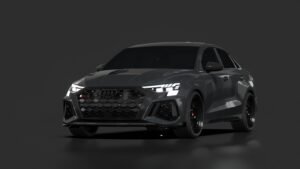 Audi RS3 ( 8Y ) Visionian 4Real XX